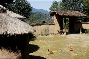 农家小院