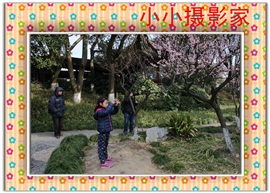 小小摄影家