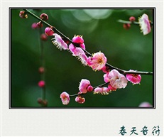 春天音符