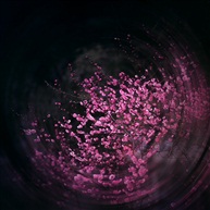 梅花2