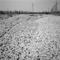 突如其来的雪