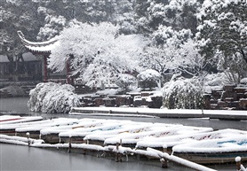 《亭林雪》
