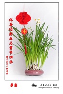 《春意》