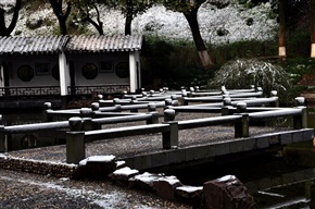 雪后亭林园---5