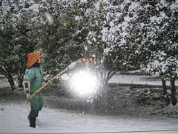 雪