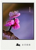 意蕴梅花
