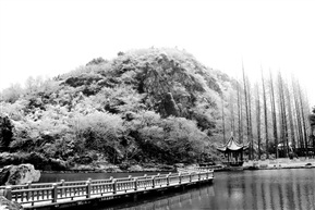 雪中亭林