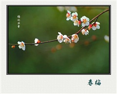 梅之乐章