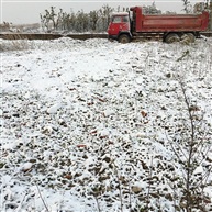 雪