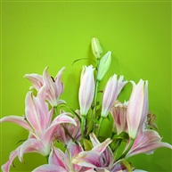 花