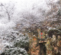 《龙泉》