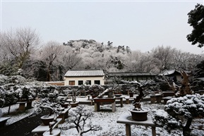 盆景园