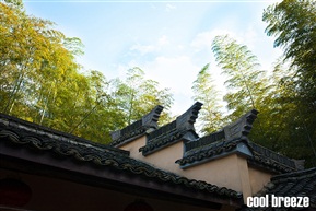 “像雾像雨又像风”
