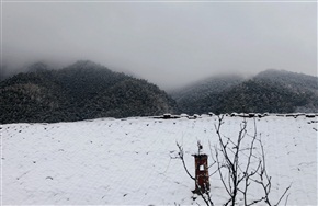 春雪