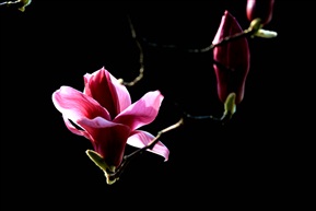 边走边拍[19]