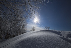 雪芒