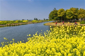 小河春意