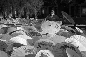 甲路伞(5) 