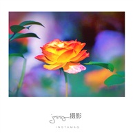 《春》