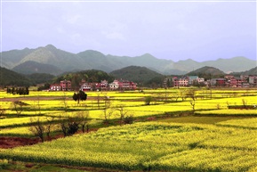 山乡春色