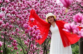 人舞花间