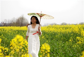 油菜花开1