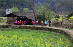 乡村小路