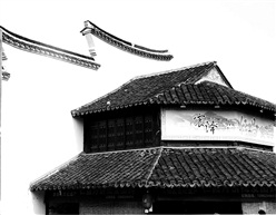 震泽
