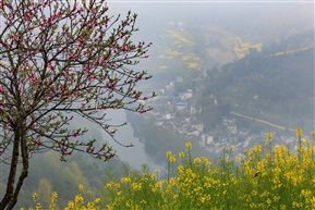 山间春色