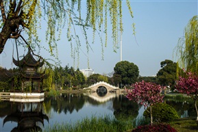 花溪公园