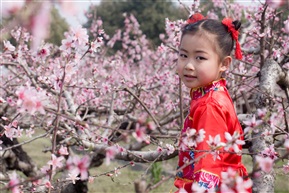 《花仙子》