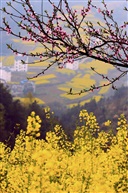 春染山村