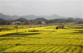 春满山乡