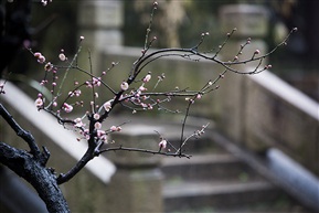 期待