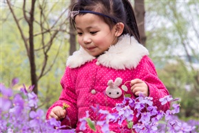 赏花