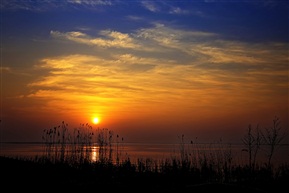阳澄湖日出