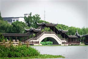 莲桥之恋