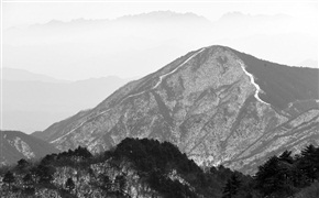 苍苍九华春飞雪