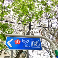 春天的色彩1