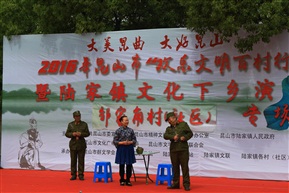 陆家群众文化6