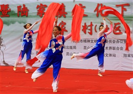 陆家群众文化5