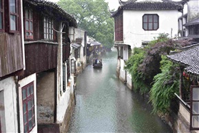 雨