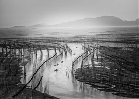 出海