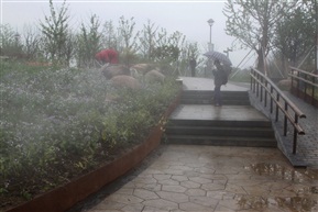 雨中参观