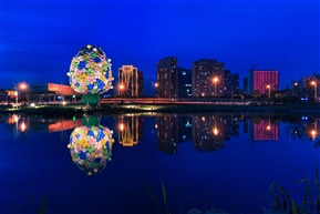花树