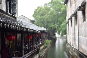 雨中