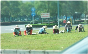 时代“技艺”