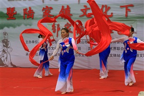 陆家群众文化2