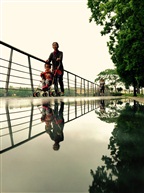 雨后1