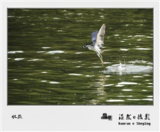 收获